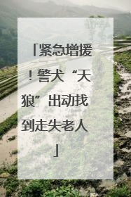 紧急增援！警犬“天狼”出动找到走失老人