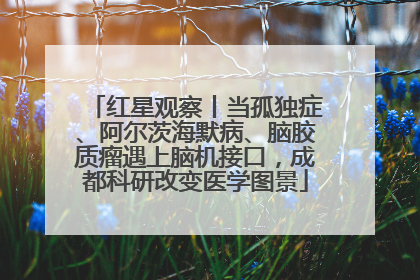 红星观察丨当孤独症、阿尔茨海默病、脑胶质瘤遇上脑机接口，成都科研改变医学图景