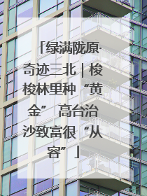 绿满陇原·奇迹三北｜梭梭林里种“黄金” 高台治沙致富很“从容”
