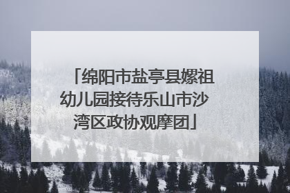 绵阳市盐亭县嫘祖幼儿园接待乐山市沙湾区政协观摩团