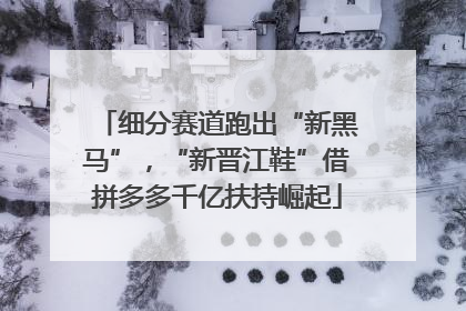 细分赛道跑出“新黑马”，“新晋江鞋”借拼多多千亿扶持崛起