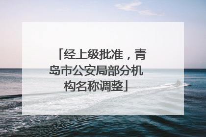经上级批准，青岛市公安局部分机构名称调整