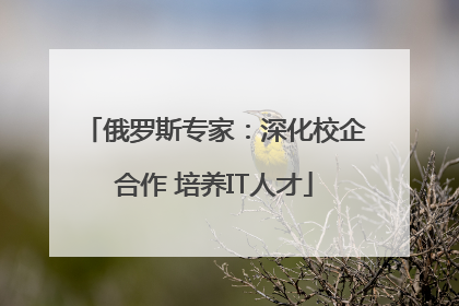 俄罗斯专家：深化校企合作 培养IT人才