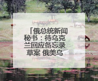 俄总统新闻秘书：待乌克兰回应备忘录草案 俄美乌领导人近期会晤可能性小