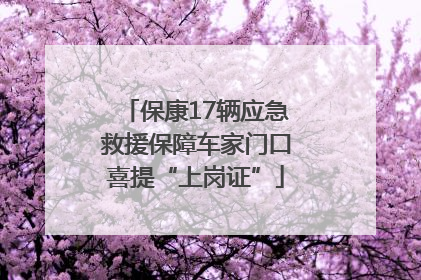 保康17辆应急救援保障车家门口喜提“上岗证”