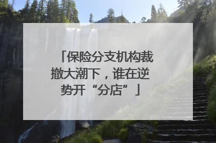 保险分支机构裁撤大潮下，谁在逆势开“分店”