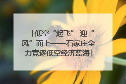 低空“起飞” 迎“风”而上——石家庄全力竞逐低空经济蓝海