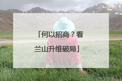 何以招商？看兰山升维破局