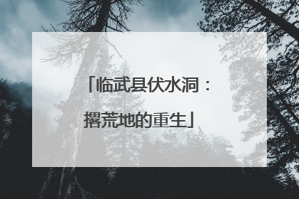 临武县伏水洞：撂荒地的重生