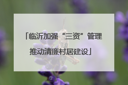 临沂加强“三资”管理 推动清廉村居建设