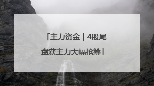 主力资金｜4股尾盘获主力大幅抢筹