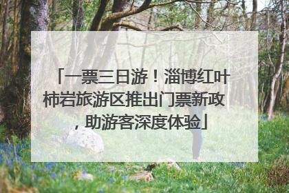 一票三日游！淄博红叶柿岩旅游区推出门票新政，助游客深度体验