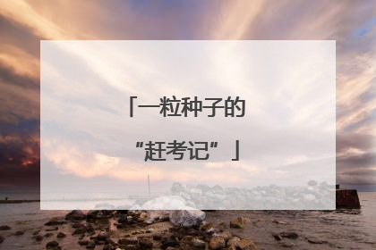 一粒种子的“赶考记”