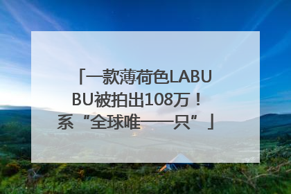 一款薄荷色LABUBU被拍出108万！系“全球唯一一只”