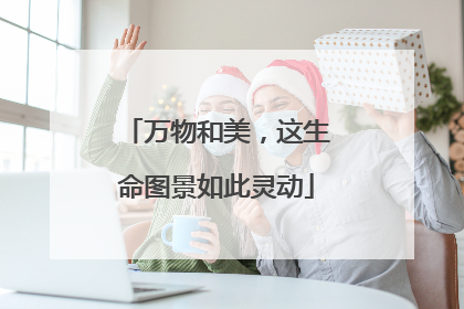 万物和美，这生命图景如此灵动