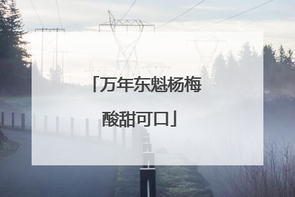 万年东魁杨梅 酸甜可口