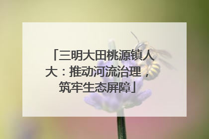 三明大田桃源镇人大：推动河流治理，筑牢生态屏障