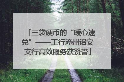 三袋硬币的“暖心速兑”——工行漳州诏安支行高效服务获赞誉