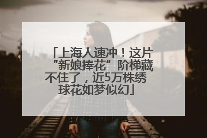 上海人速冲！这片“新娘捧花”阶梯藏不住了，近5万株绣球花如梦似幻