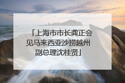 上海市市长龚正会见马来西亚沙捞越州副总理沈桂贤
