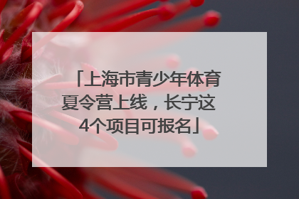 上海市青少年体育夏令营上线，长宁这4个项目可报名