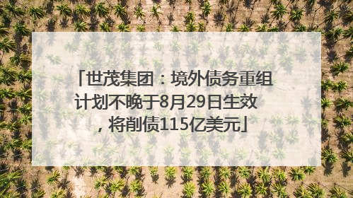 世茂集团：境外债务重组计划不晚于8月29日生效，将削债115亿美元