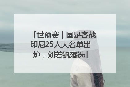 世预赛｜国足客战印尼25人大名单出炉，刘若钒落选