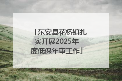 东安县花桥镇扎实开展2025年度低保年审工作