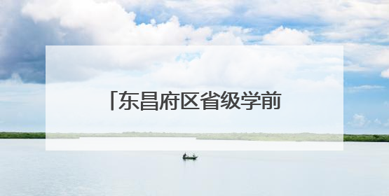 东昌府区省级学前教育游戏活动实验区建设推进会召开