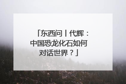 东西问丨代辉：中国恐龙化石如何对话世界？