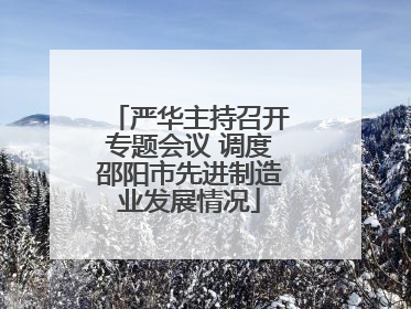 严华主持召开专题会议 调度邵阳市先进制造业发展情况