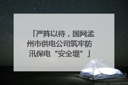 严阵以待，国网孟州市供电公司筑牢防汛保电“安全堤”