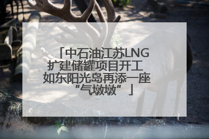 中石油江苏LNG扩建储罐项目开工 如东阳光岛再添一座“气墩墩”