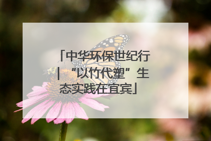 中华环保世纪行｜“以竹代塑”生态实践在宜宾