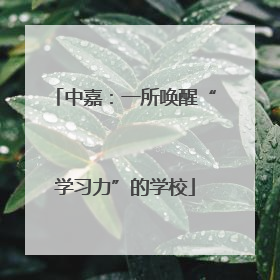 中嘉：一所唤醒“学习力”的学校