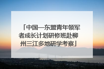 中国—东盟青年领军者成长计划研修班赴柳州三江多地研学考察