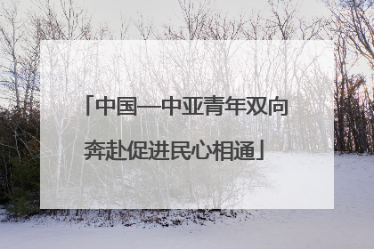 中国—中亚青年双向奔赴促进民心相通