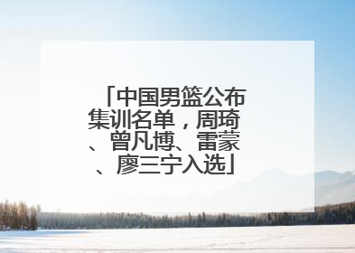 中国男篮公布集训名单，周琦、曾凡博、雷蒙、廖三宁入选
