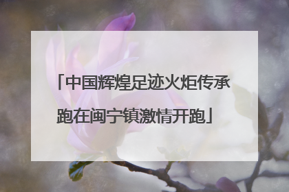 中国辉煌足迹火炬传承跑在闽宁镇激情开跑