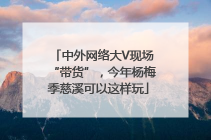 中外网络大V现场“带货”，今年杨梅季慈溪可以这样玩