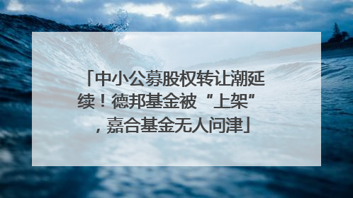 中小公募股权转让潮延续！德邦基金被“上架”，嘉合基金无人问津