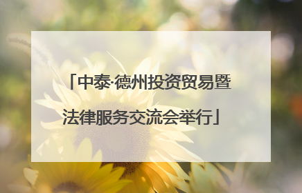 中泰·德州投资贸易暨法律服务交流会举行