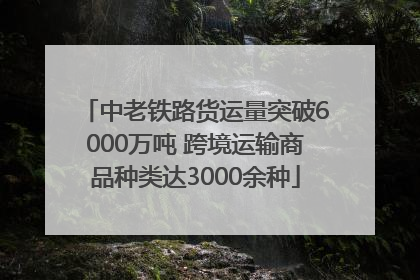 中老铁路货运量突破6000万吨 跨境运输商品种类达3000余种