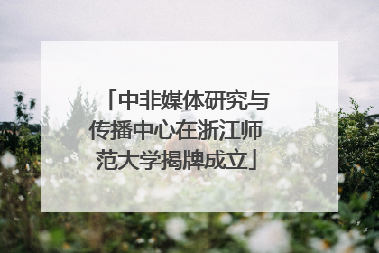 中非媒体研究与传播中心在浙江师范大学揭牌成立