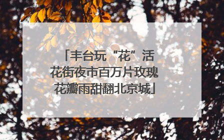 丰台玩“花”活 花街夜市百万片玫瑰花瓣雨甜翻北京城