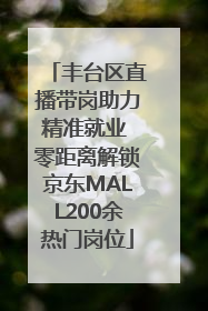 丰台区直播带岗助力精准就业 零距离解锁京东MALL200余热门岗位