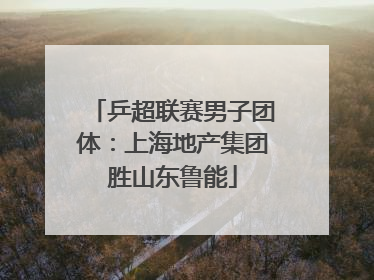 乒超联赛男子团体：上海地产集团胜山东鲁能