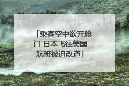 乘客空中欲开舱门 日本飞往美国航班被迫改道