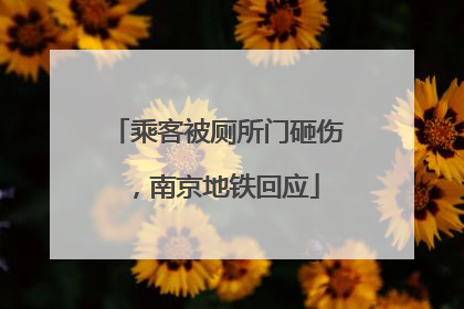 乘客被厕所门砸伤，南京地铁回应