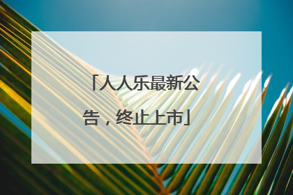 人人乐最新公告，终止上市
